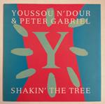 Youssou N'Dour & Peter Gabriel: Shakin' The Tree