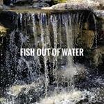 Fish Out Of Water