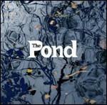 Pond