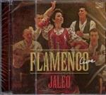 Flamenco Live