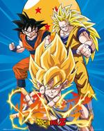 Poster Dragon Ball Z. 3 Gokus