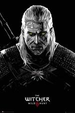 Witcher (The) - Toxicity Poisoning (Poster Maxi 61x91,5 Cm)