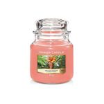 Yankee Candle Original Medium Jar The Last Paradise