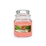 Yankee Candle Origina Small Jar The Last Paradise