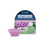 Yankee Candle Cera Da Fondere Wax Melt Wild Orchid