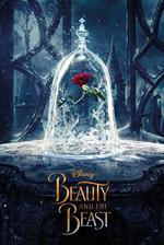 Poster Maxi Beauty And The Beast Movie. Enchanted Rose