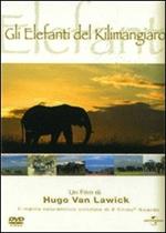 Gli elefanti del Kilimangiaro (DVD)