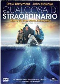 Qualcosa di straordinario di Ken Kwapis - DVD