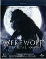 Werewolf. La bestia è tornata