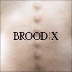 Brood X