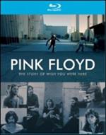 Pink Floyd. The Story of Wish You Were Here (Blu-ray)