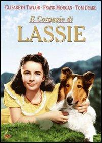 Il coraggio di Lassie (DVD) di Fred McLeod Wilcox - DVD