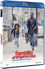 Famiglia all'improvviso. Istruzioni non incluse (Blu-ray)