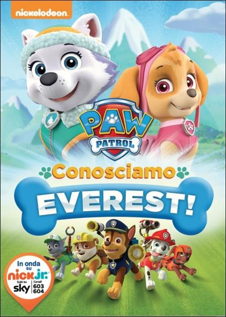 Paw Patrol. Conosciamo Everest! - DVD