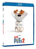 Pets 2 (Blu-ray)
