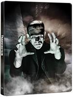 Frankenstein. 90th Anniversary Steelbook (Blu-ray + Blu-ray Ultra HD 4K)