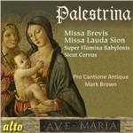 Missa Brevis - Lauda Sion