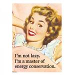 Retro Humour. Magnet Metal. Energy Conservation