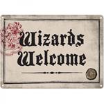 Lamina metallica Harry Potter Wizards Welcome