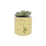 Disney: Half Moon Bay - Winnie The Pooh (Plant Pot Faux Boxed 6.5 Cm / Pianta Finta Con Vaso)