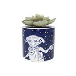 Harry Potter Dobby (Plant Pot Faux Boxed 6.5 Cm / Pianta Finta Con Vaso)