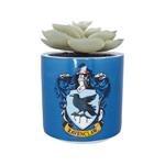 Harry Potter: Half Moon Bay - Ravenclaw(Plant Pot Faux Boxed 6.5 Cm / Pianta Finta Con Vaso)