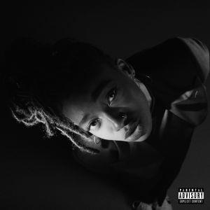 Grey Area - CD Audio di Little Simz