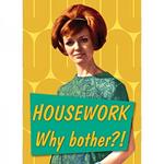 Retro Humour. Magnet Metal. Housework... Why Bother!