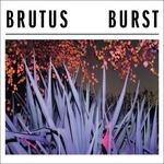 Burst