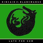 Late for Sum (feat. Blancmange)