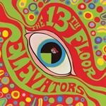 The Psychedelic Sounds Of The 13th Floor