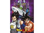 Dragon Ball Super Coperta In Pile Toei Animation