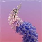 Skin - CD Audio di Flume