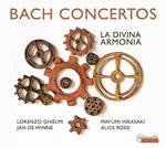 Concertos