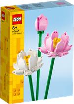LEGO 10311 Icons Orchidea, Set per Adulti da Collezione, Modellismo e Hobby  Creativi & 10314 Icons Centrotavola di Fiori Secchi Finti, Set Fai da Te per  Adulti : : Giochi e giocattoli