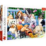 Puzzle da 1000 Pezzi - Dogs in the garden