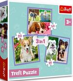 3 Puzzle in 1 - Cagnolini Adorabili