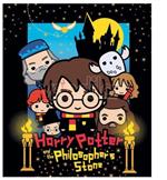 Harry Potter Chibi coral blanket Warner Bros.