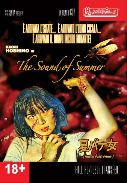 The Sound of Summer di Guy - DVD