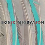 Sonic Migration