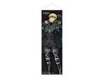 Attack On Titan: The Final Season Slim Wallscroll Armin Arlelt 30 X 90 Cm POPbuddies