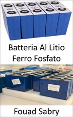 Batteria Al Litio Ferro Fosfato