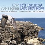 Erik Weissglas - It's Raining, But Not Now