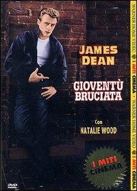 Gioventù bruciata<span>.</span> I Miti di Nicholas Ray - DVD