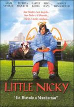 Little Nicky. Un diavolo a Manhattan (DVD)