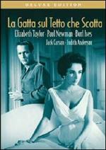 La gatta sul tetto che scotta (DVD)