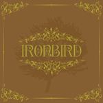 Ironbird