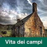 Vita dei campi