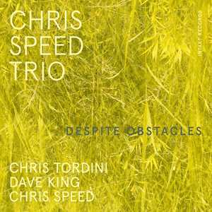 CD Despite Obstacles Chris Speed