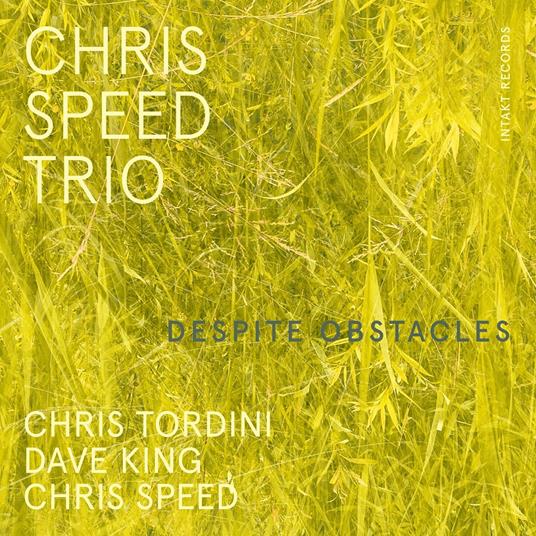 Despite Obstacles - CD Audio di Chris Speed